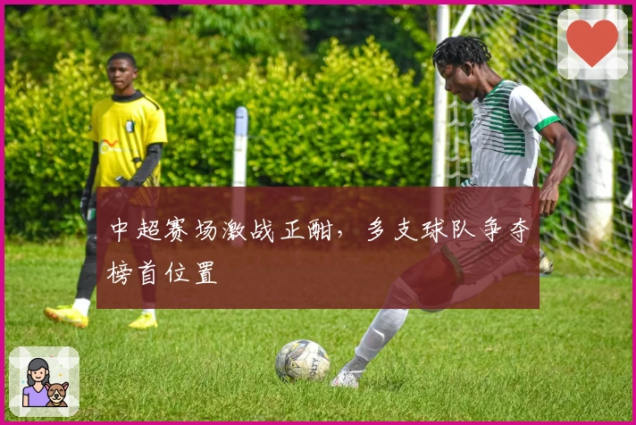 中超赛场激战正酣，多支球队争夺榜首位置